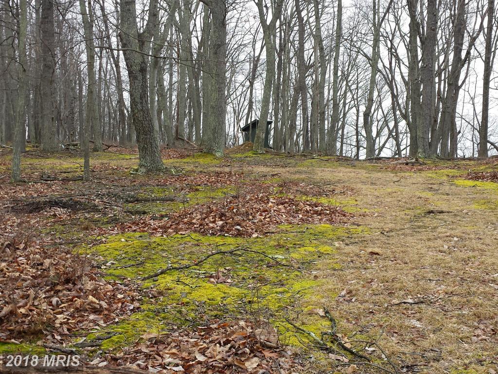 2 Off Route 220 High Knob Road - Photo 1