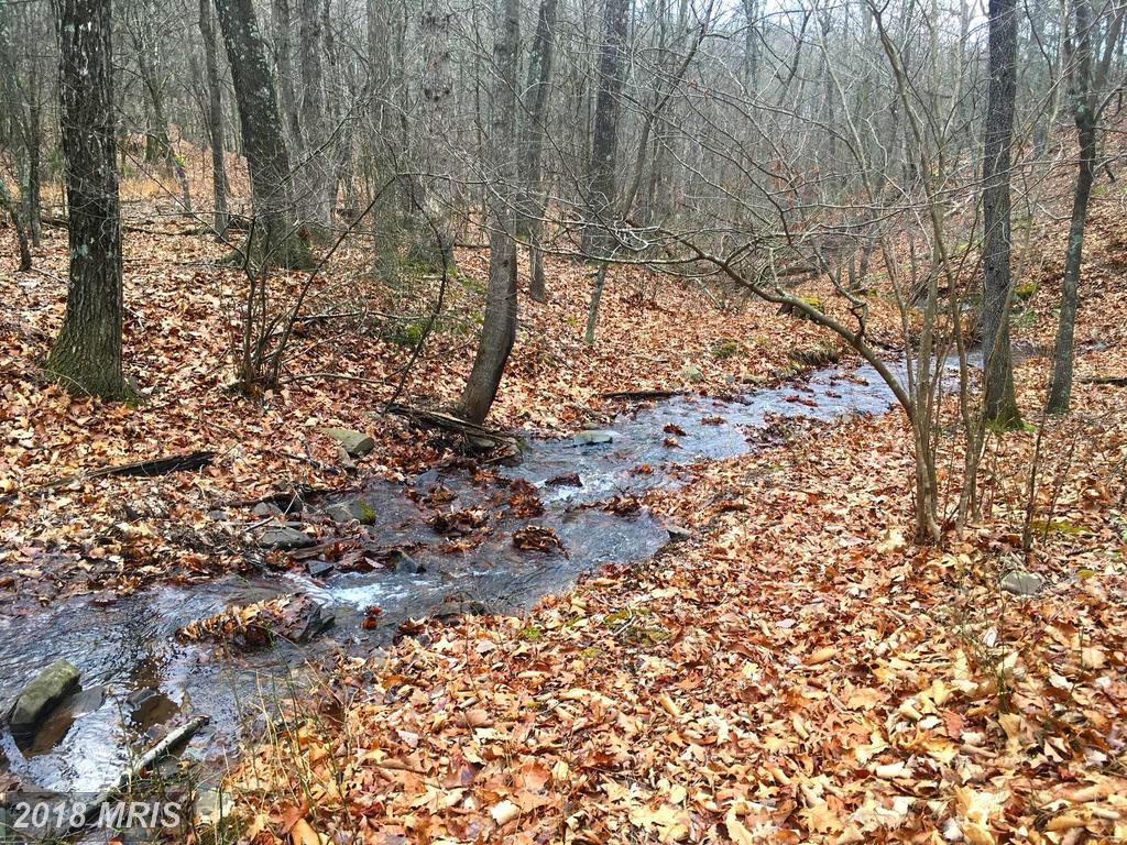 South Branch Drive - Photo 1