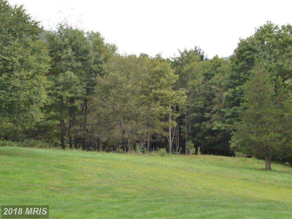 1514 Hidden Hollow Road - Photo 1