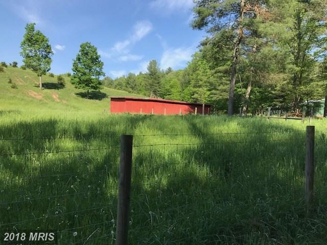Cherry Run Road - Photo 1