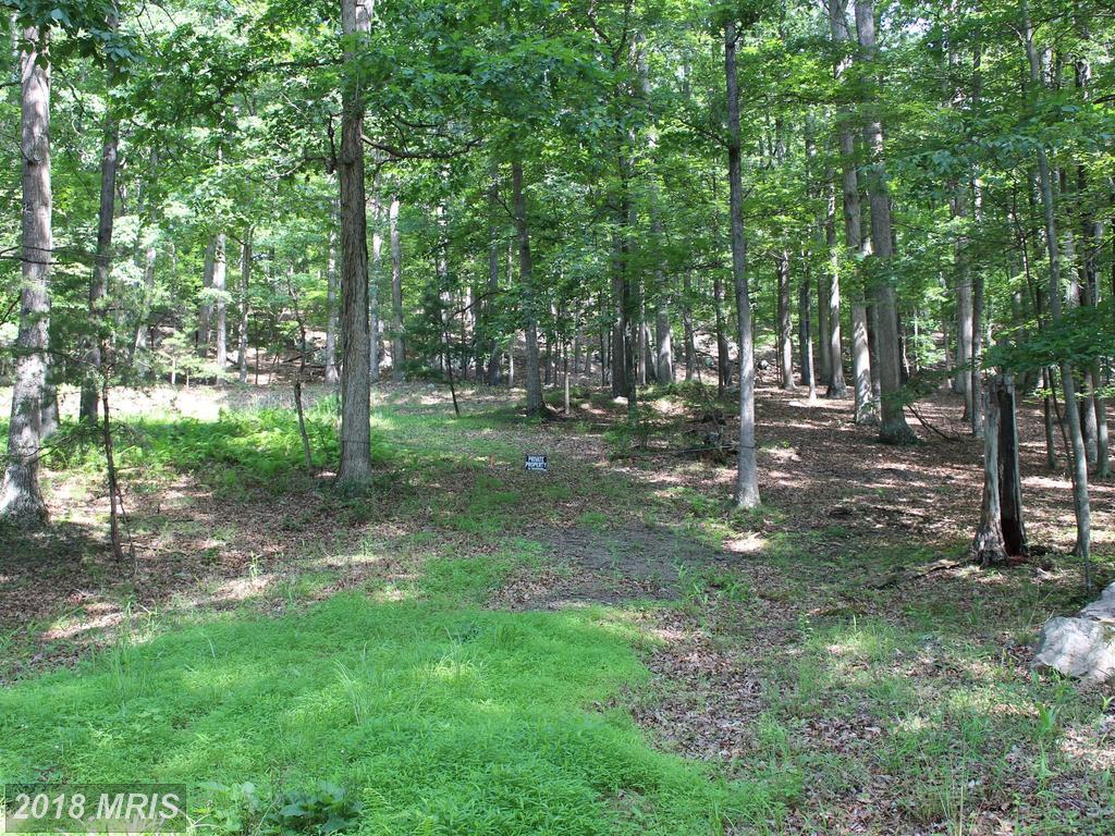 Warden Lake Hollow S-D - Photo 1