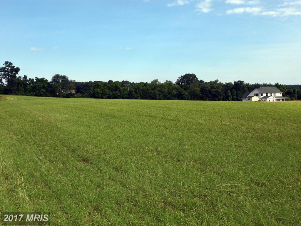 2033-A Whiteford Road - Photo 1