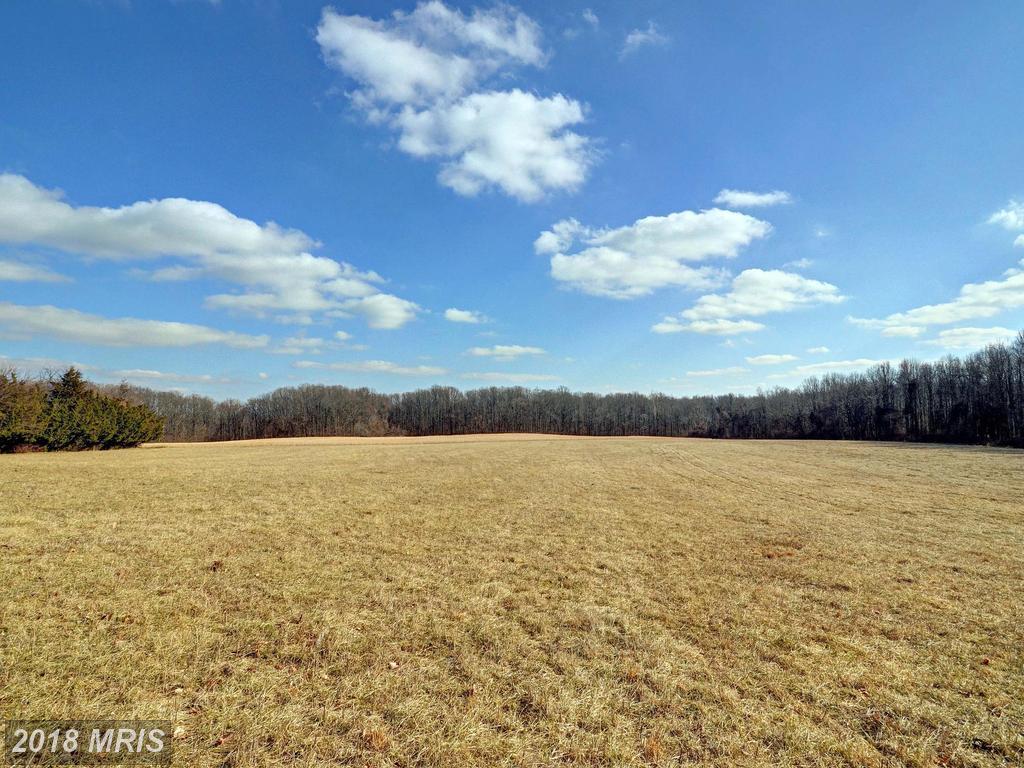429 Robin Hood Road - Photo 1