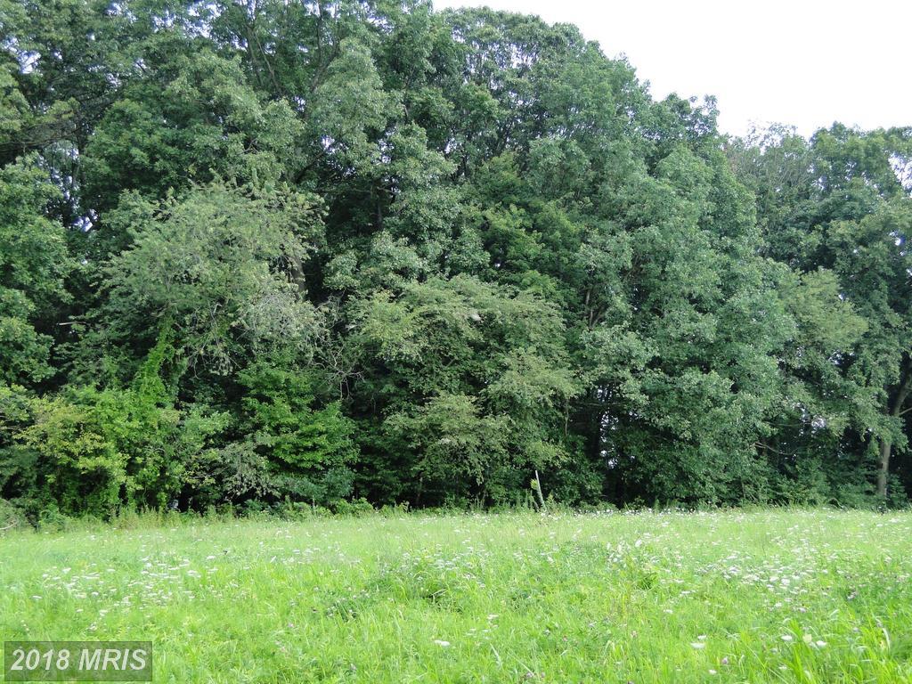 25-B Holy Cross Road - Photo 1