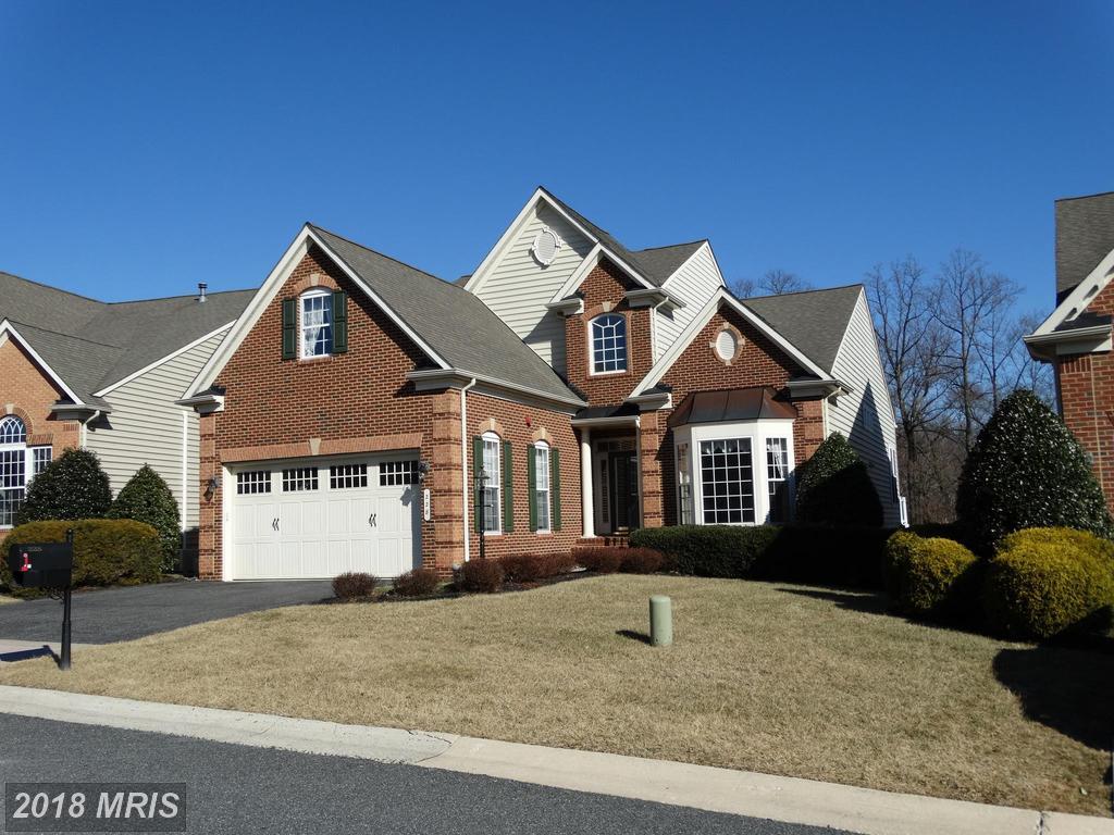 228 Spectacular Bid Drive - Photo 1