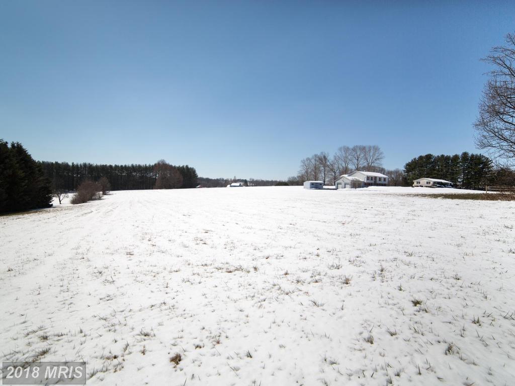 3709 Green Spring Road - Photo 1