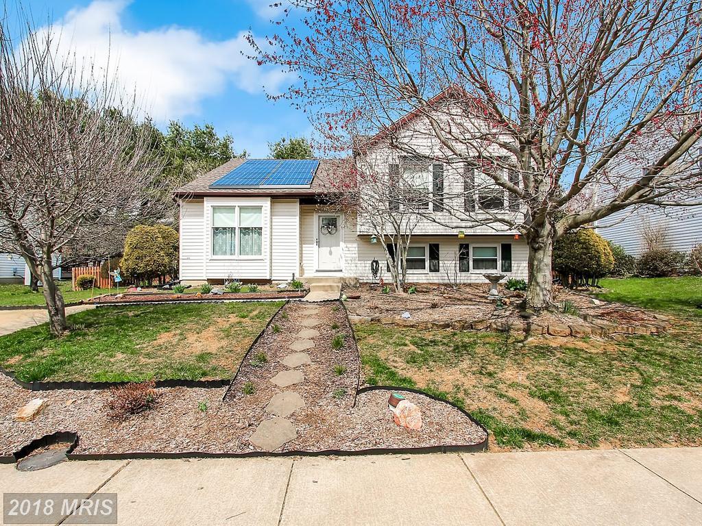 2721 Singer Woods Drive - Photo 1