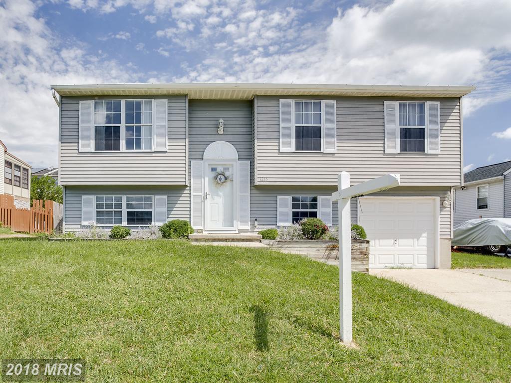 1215 Windy Branch Way - Photo 1