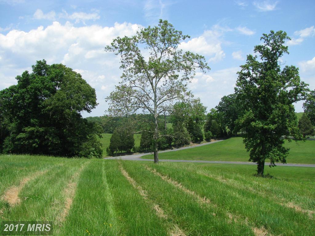 3739 Harmony Church - Photo 1
