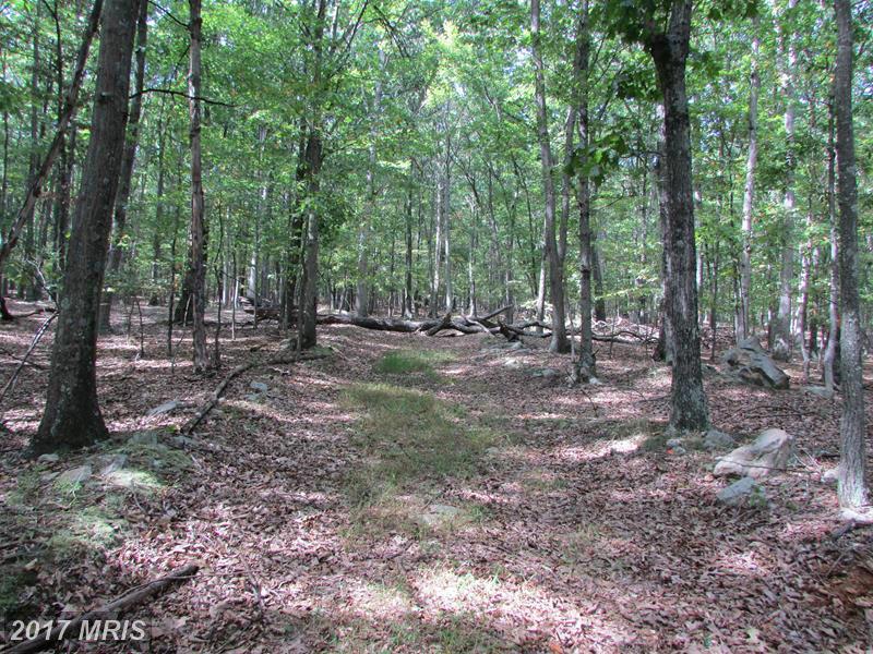 71 OWL HOLLOW ROAD - Photo 1
