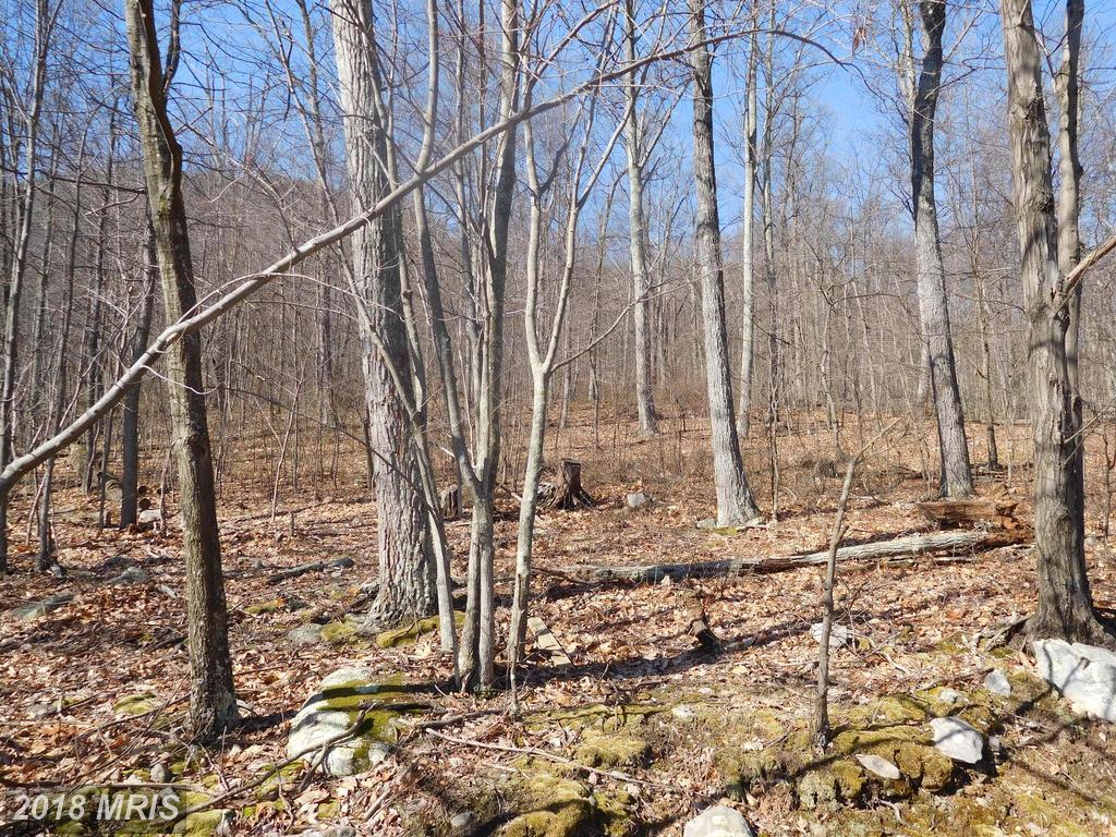 Hunters Drive - Photo 1