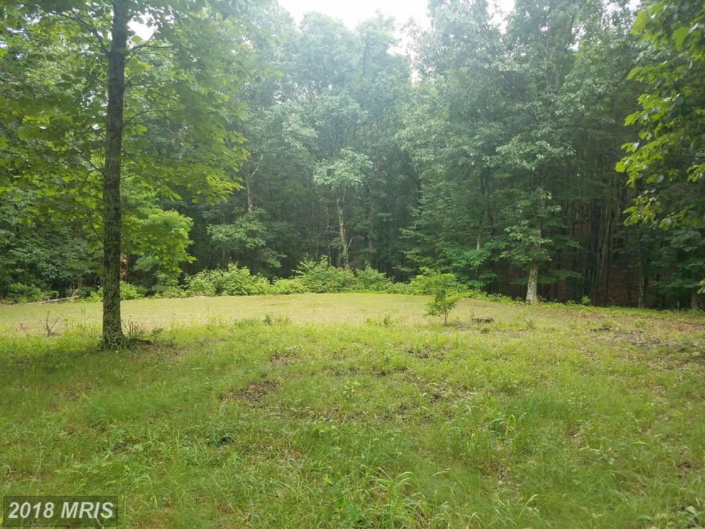 Mystic Mountain Boulevard - Photo 1
