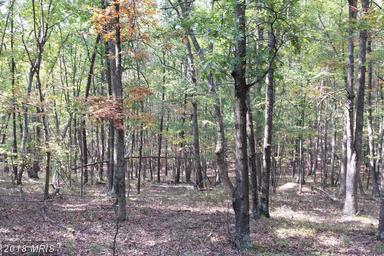 4546 Davids Rd - Photo 1
