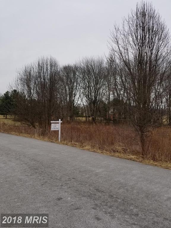Willow Springs Drive - Photo 1