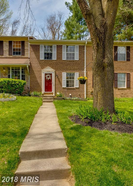 9136 Bronze Bell Circle - Photo 1