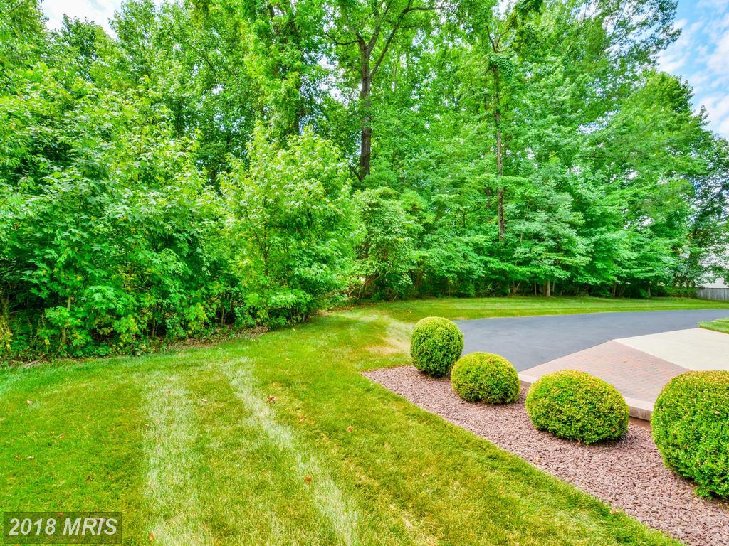 9317 Woodsedge Court - Photo 1