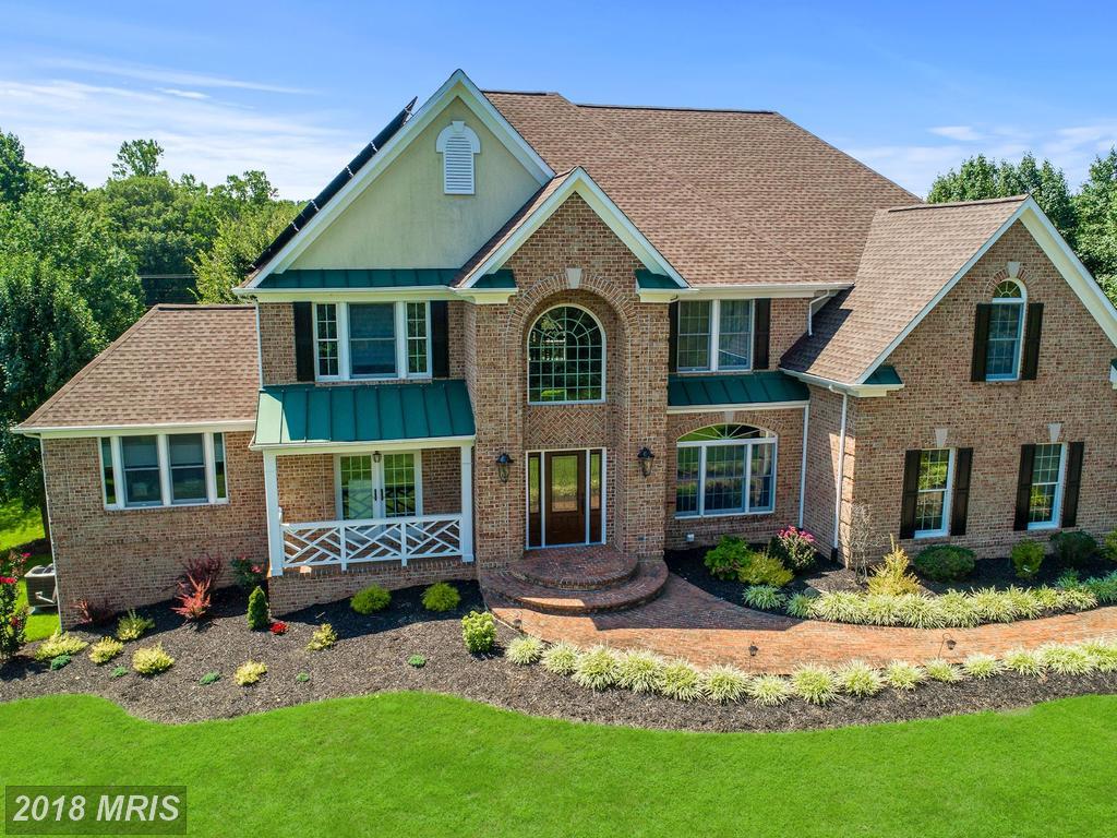 3625 Black Walnut Lane - Photo 1