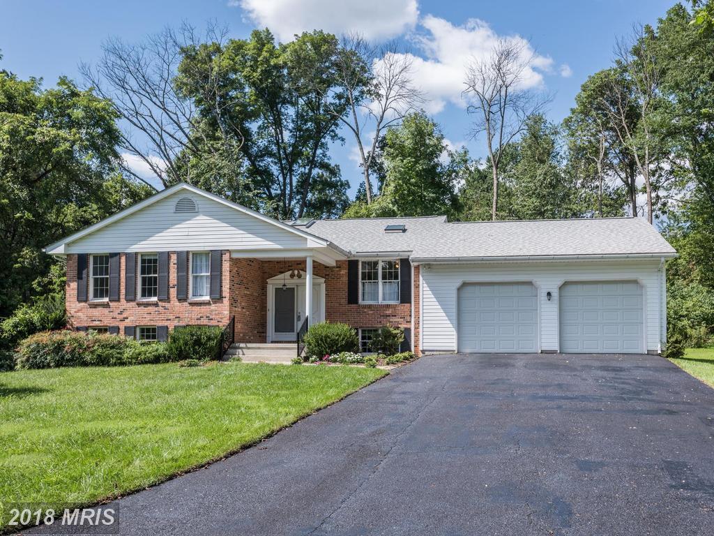 9192 Windflower Drive - Photo 1