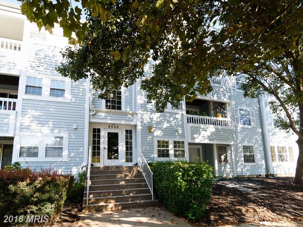 8559 Falls Run Road - Photo 1