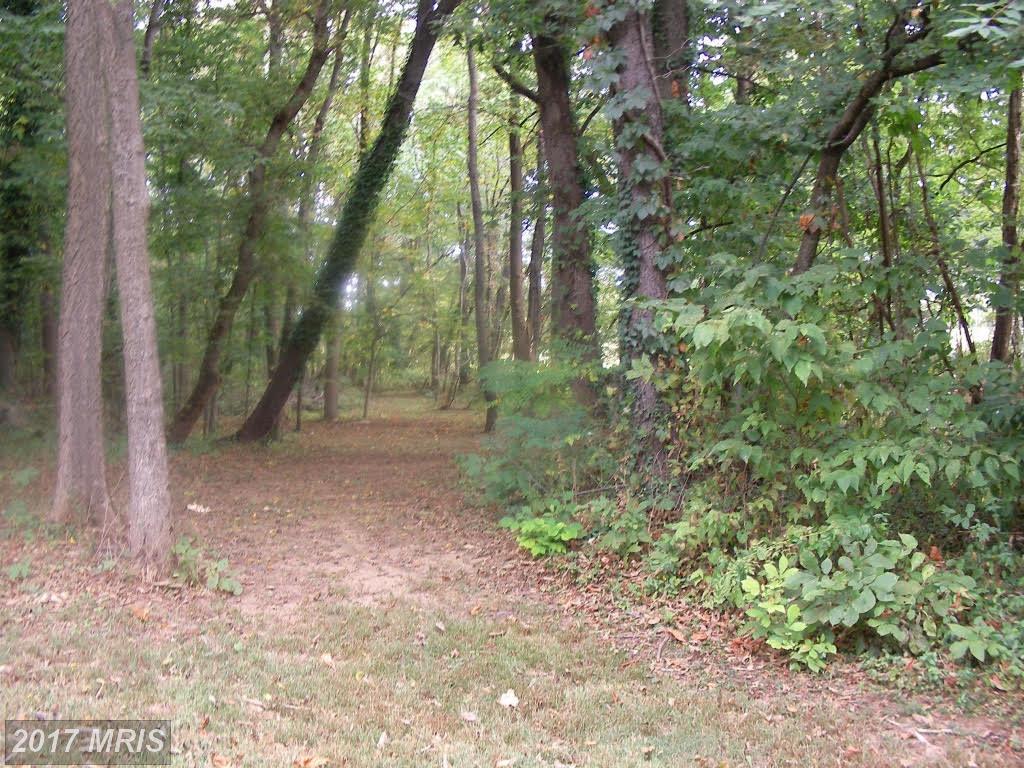 Whitmer Road - Photo 1