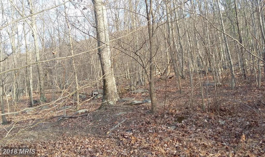 Blue Ridge Drive - Photo 1