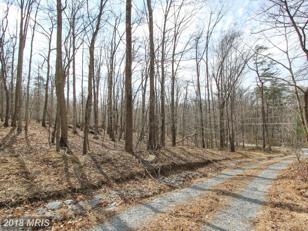 Blue Ridge Drive - Photo 1