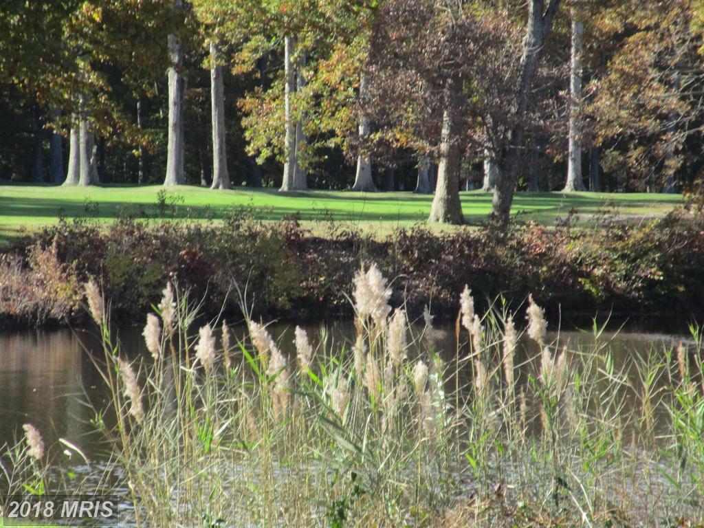 Muirfield Drive - Photo 1