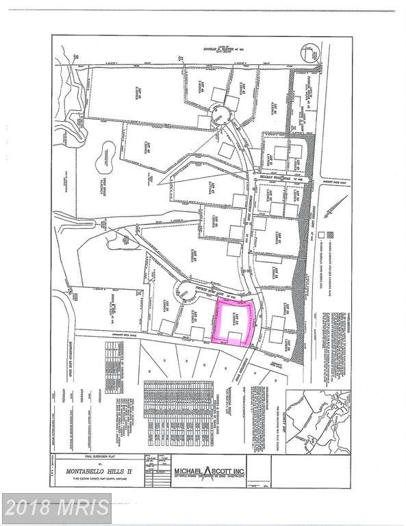Private Spry Lane - Photo 1