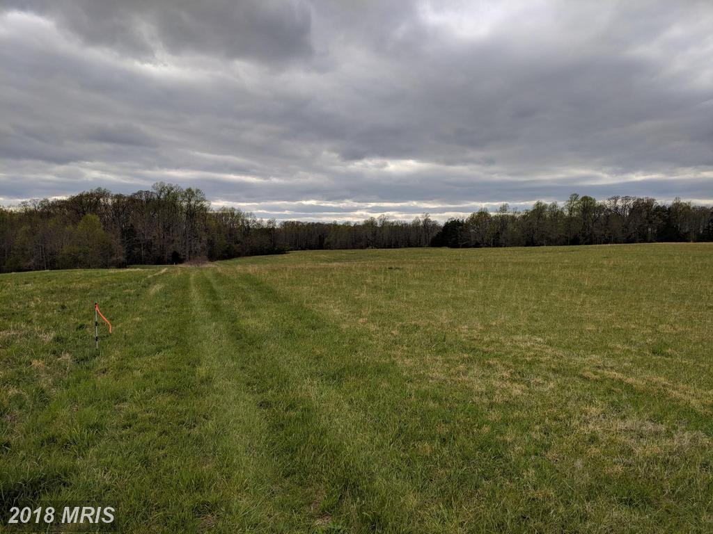 15558 Kings Highway - Photo 1