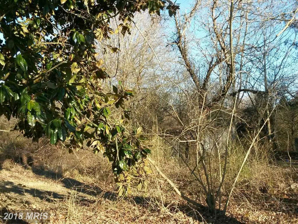 0 Bumpass Road - Photo 1