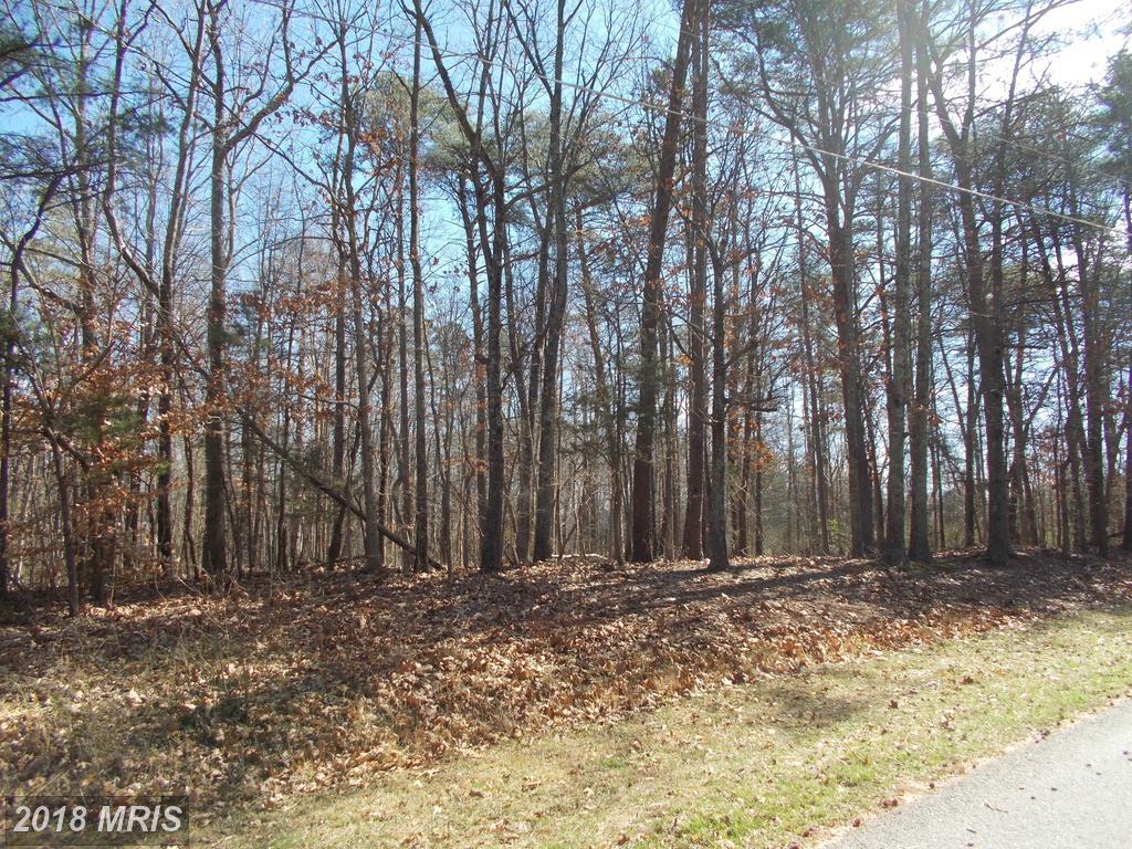 Louisa Avenue - Photo 1