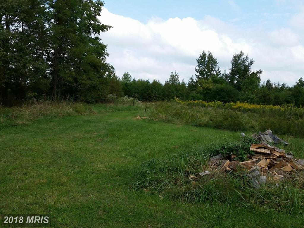 8015 Shannon Hill Road - Photo 1