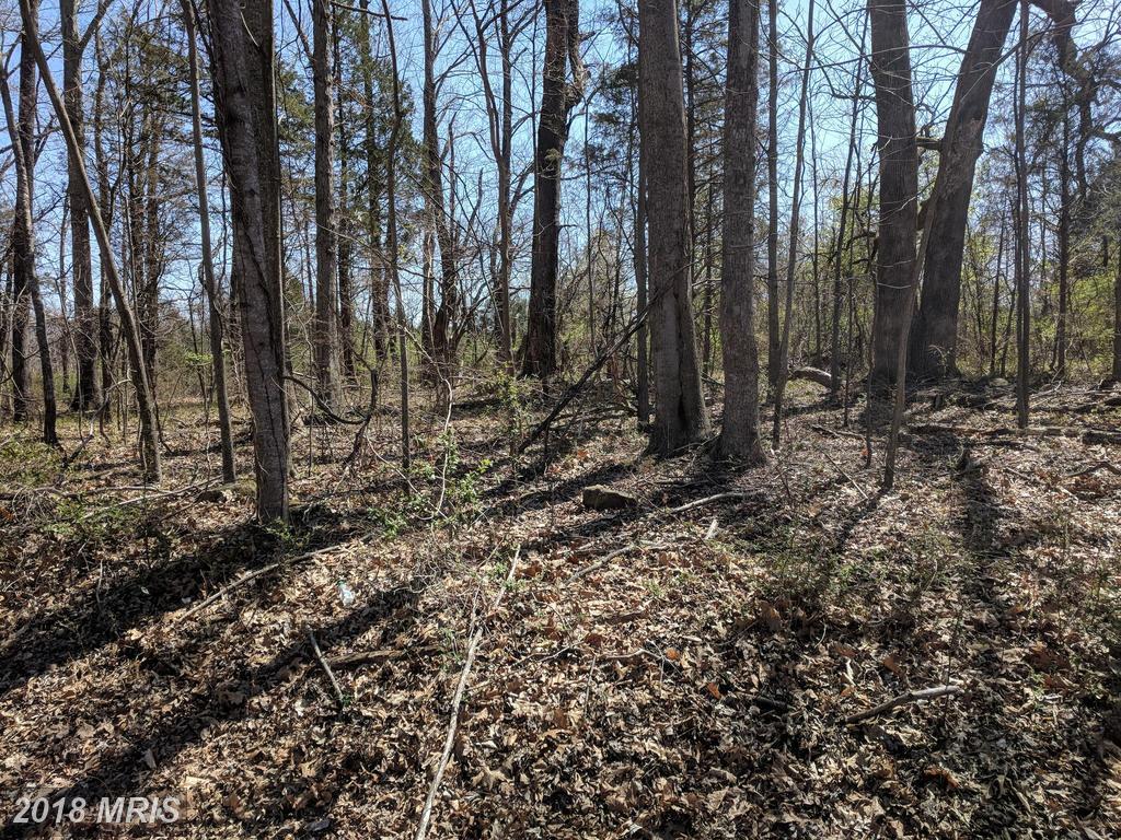 LOT 52 Mountain View - Photo 1