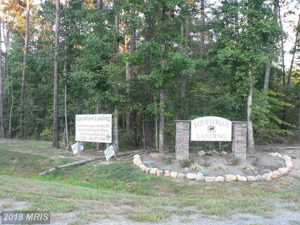 Equestrian Landing Trail - Photo 1