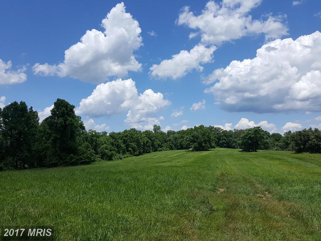 36651 Mountville Road - Photo 1