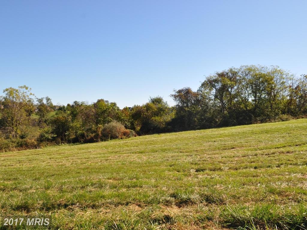 0 Whirlaway Court - Photo 1