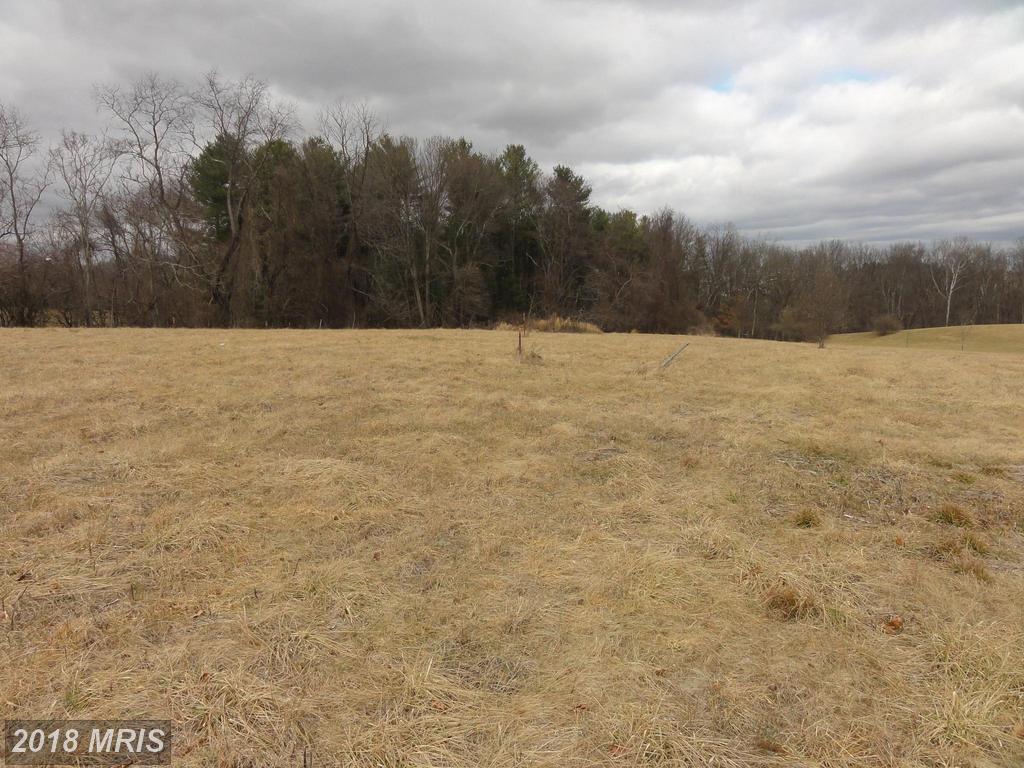 16519 Lance Trail Court - Photo 1