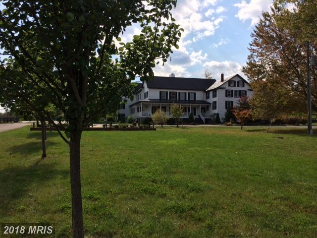 19246 Ebenezer Church Road - Photo 1