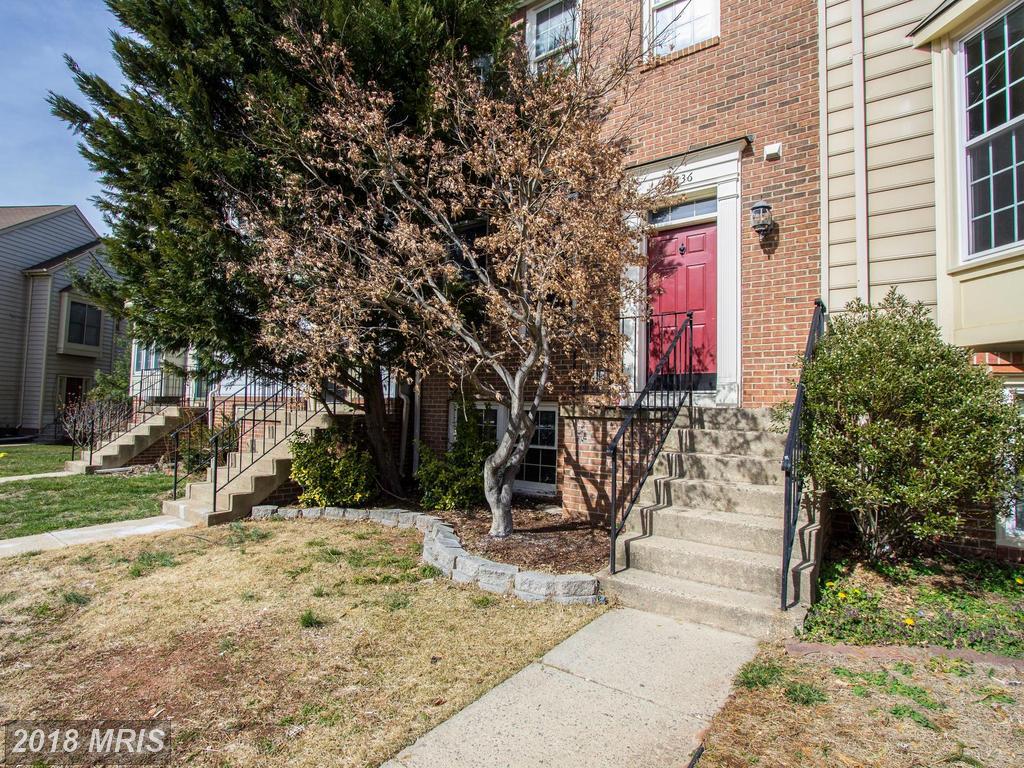 46836 Trumpet Circle - Photo 1