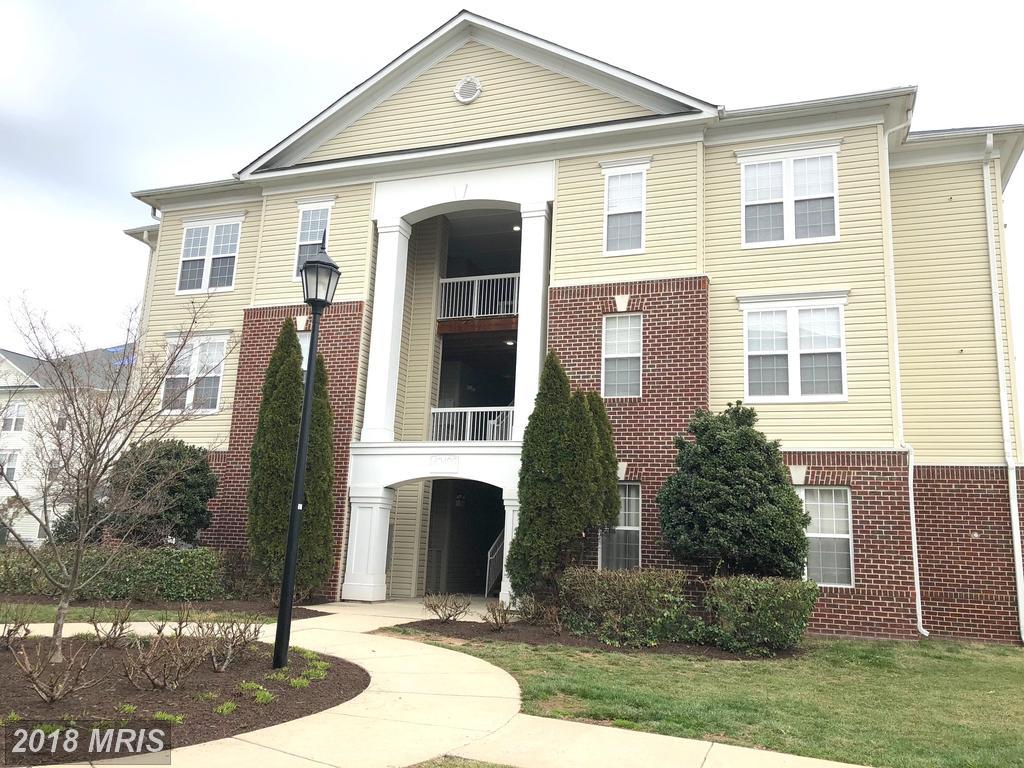 42496 Mayflower Terrace - Photo 1