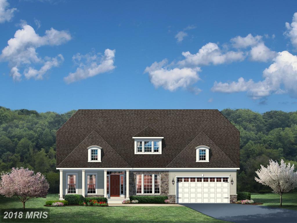 03 Spanglegrass Court - Photo 1