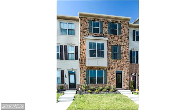 43427 Robey Square - Photo 1