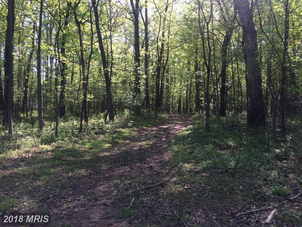 0 Purcellville Road - Photo 1