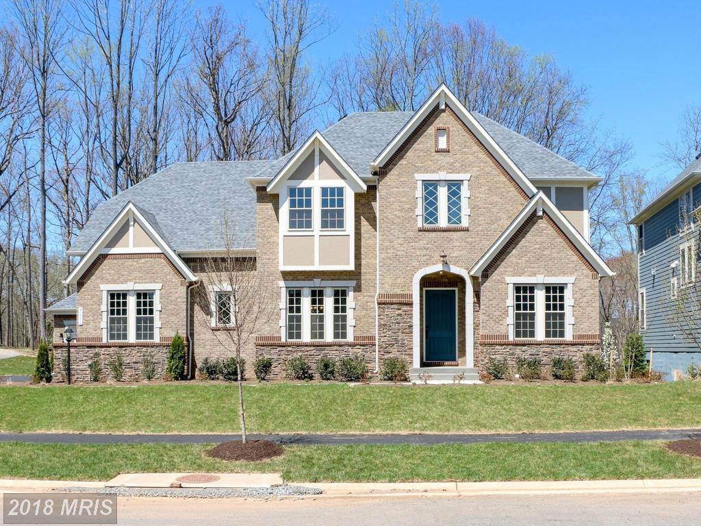 40972 Blossom Glade Drive - Photo 1