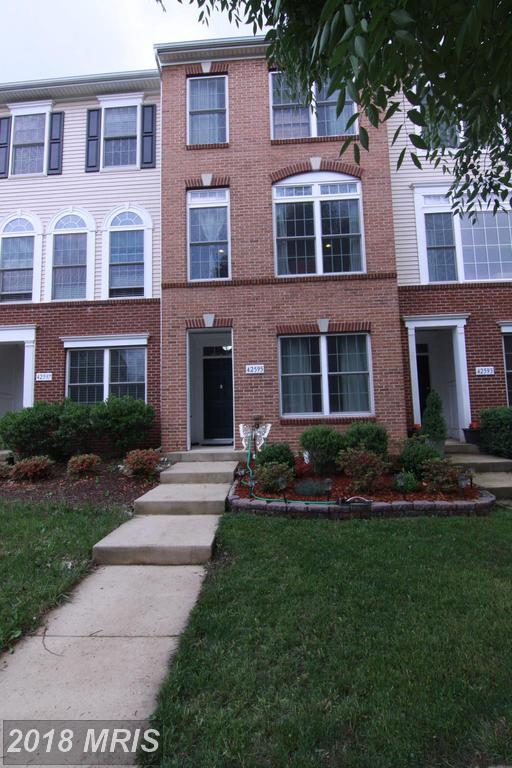 42595 Pine Forest Drive - Photo 1