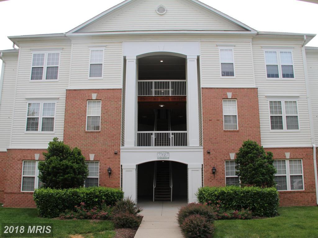 22687 Blue Elder Terrace - Photo 1