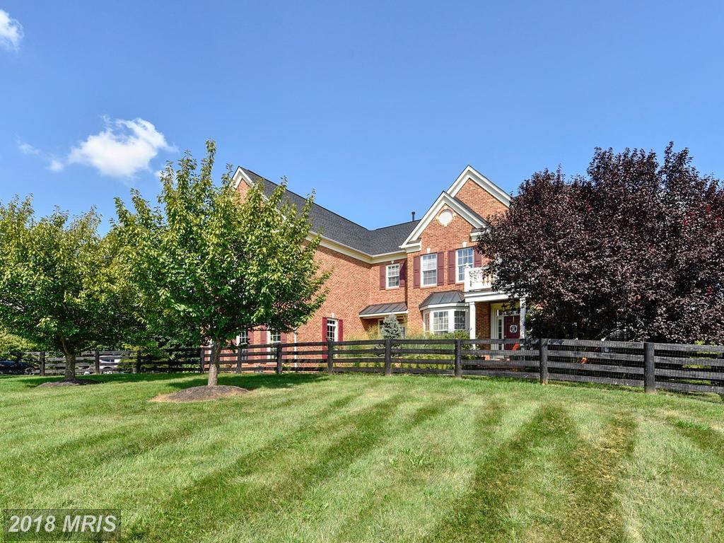 38996 Old Stage Place - Photo 1