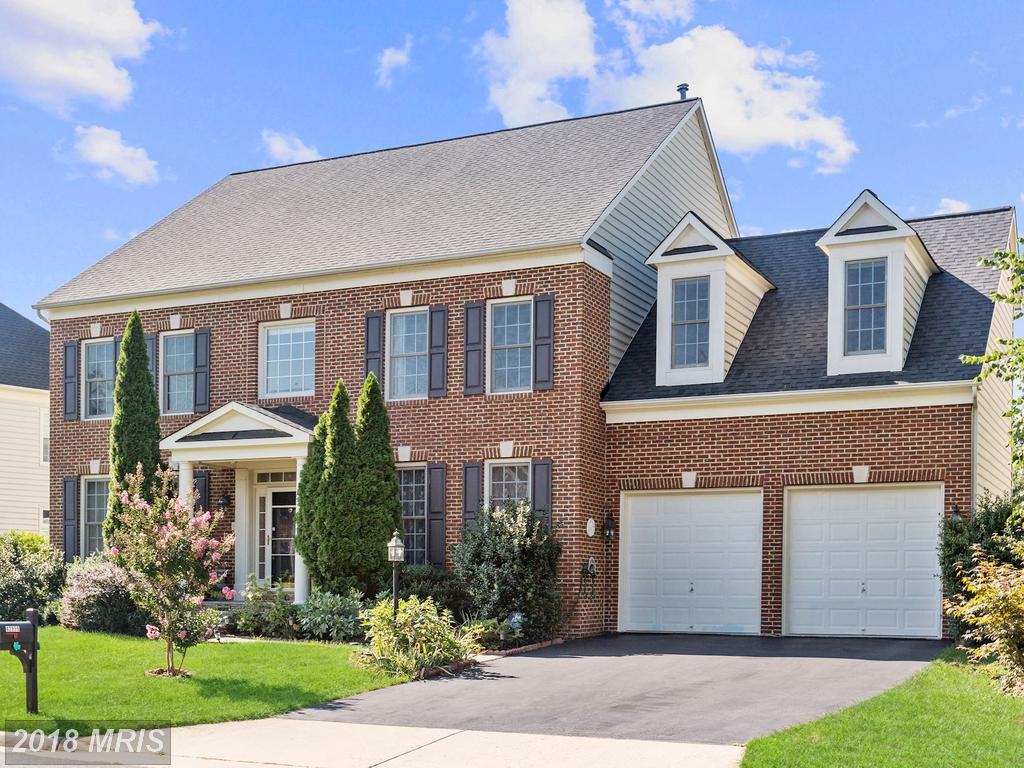 42959 Coralbells Place - Photo 1