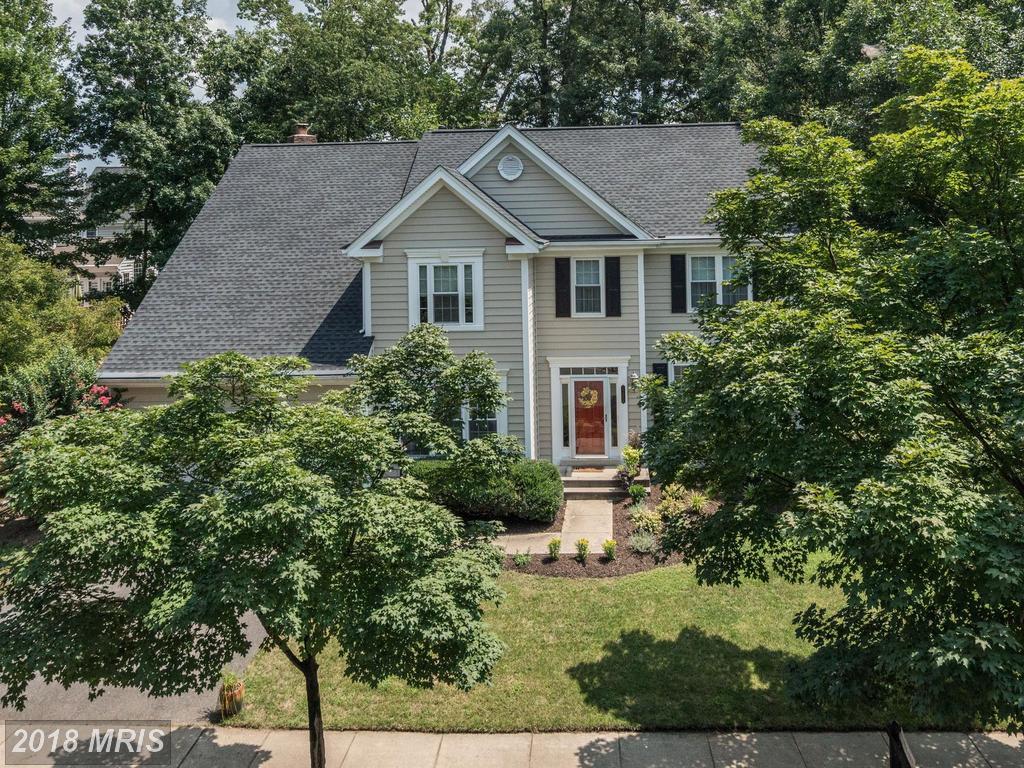 25264 Ripleys Field Drive - Photo 1