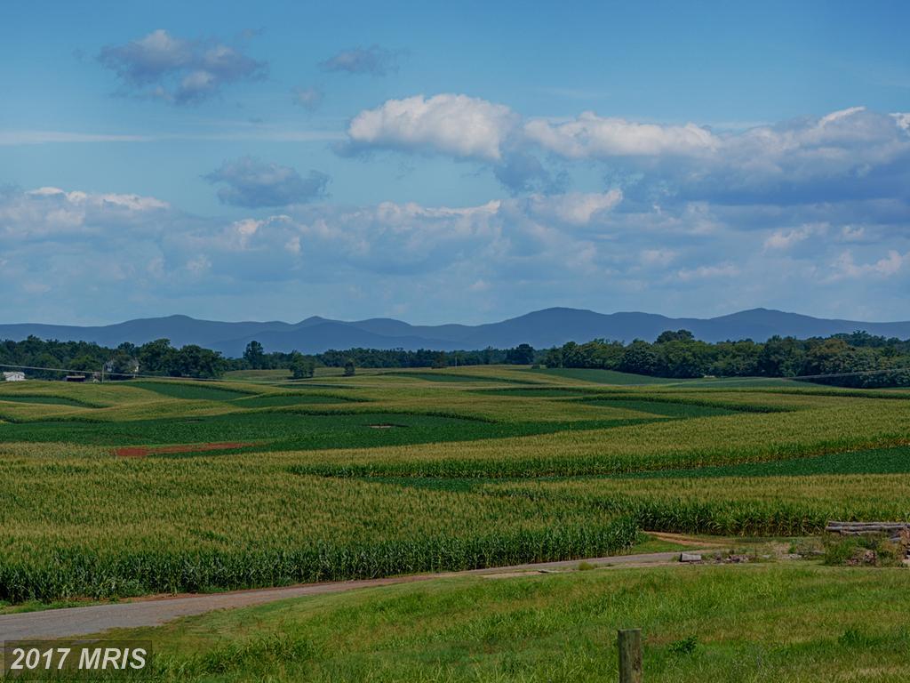 227 Blue Ridge Turnpike - Photo 1